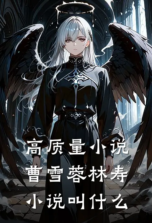高质量小说曹雪蓉林寿小说叫什么
