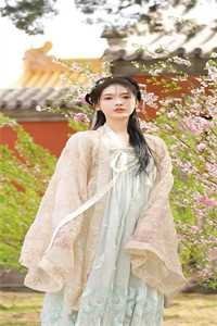 我自杳杳，青山灼灼免费阅读