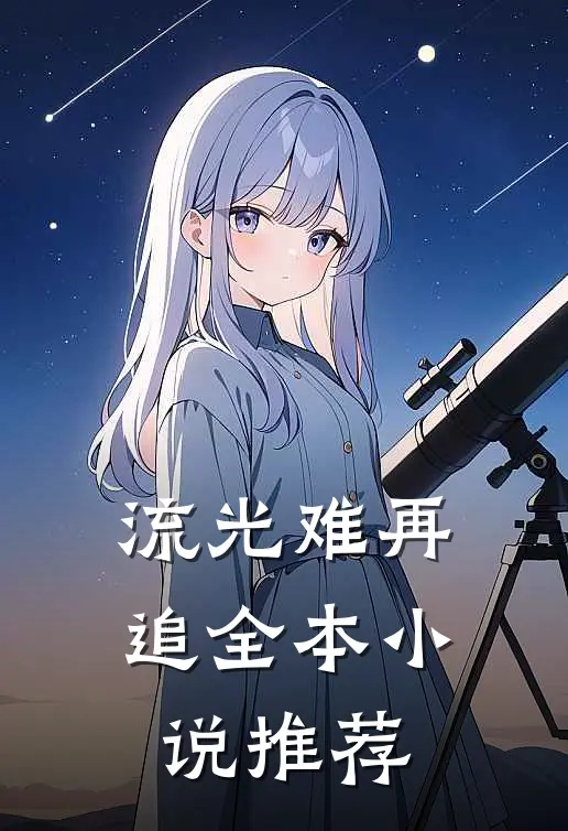 流光难再追全本小说推荐
