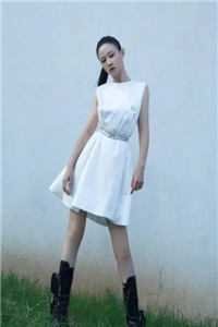 你如枯叶腐朽，我向阳而生小说免费阅读