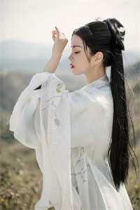 飞雁渡春秋几重的小说