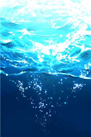 江月宴散两茫茫已完结