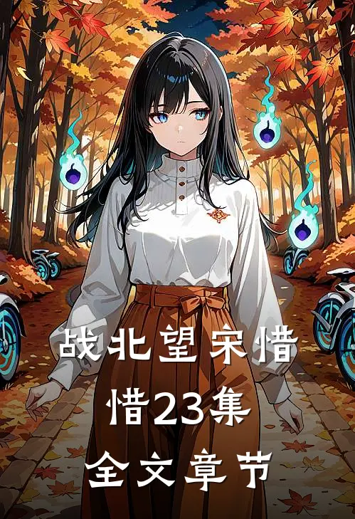 战北望宋惜惜23集全文章节