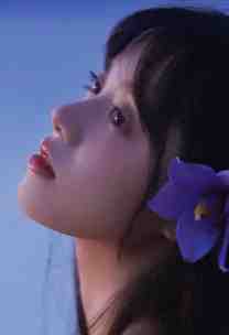 求婚失败提分手，她却哭着求我别走无弹窗