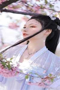 忽闻秋风起，送君永不归热门小说