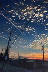 我的手段不高明，但能留你一辈子全文阅读最新