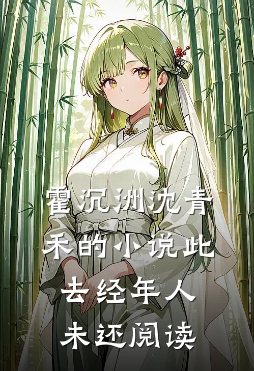 霍沉洲沈青禾的小说此去经年人未还阅读