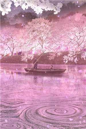 落日朝霞染芳华小说全文免费阅读