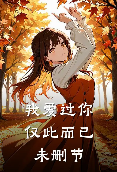 我爱过你，仅此而已未删节