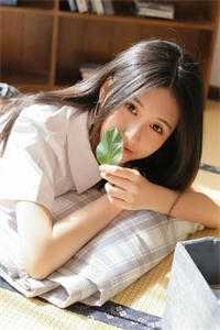 秦机长，太太是真的想离婚了黎软秦不舟全局