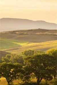 维多利亚港的告别信精品推荐