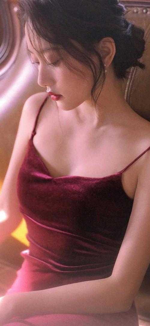 晚来舟楫不相识陆瑾舟倪晚后续+完结