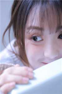 烟火纷纷照明月全集