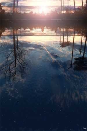 旧巷花落人无踪后续