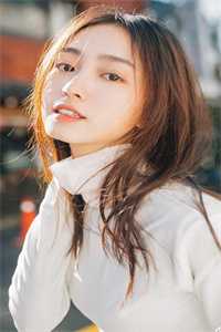 雪满长安道全文阅读最新