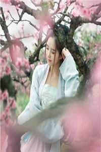 她曾把光藏入怀篇章