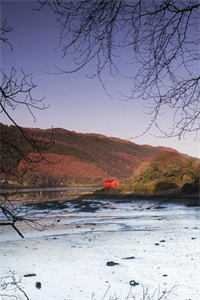 孤星悬星河最后结局