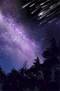 被迫入府的我，根本不想招惹他爆款热文