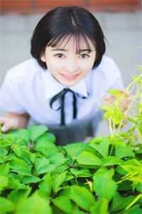 梧桐叶落，爱意尽散小说免费阅读全文