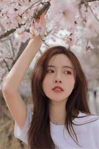 女总裁将五百万奖金颁给实习生后，我直接让公司破产苏沐然陈然全文