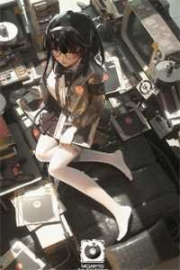 浮生一白没孤鸿后续