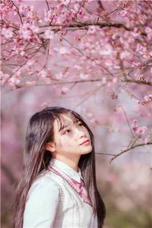 枯木逢春我逢你最新