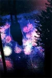 浮生一白没孤鸿小说免费阅读