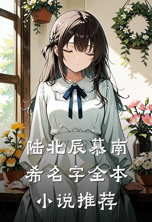 陆北辰慕南希名字全本小说推荐