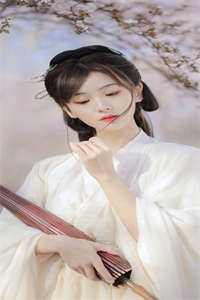 梨花落尽，云散夜未明全球完整文集