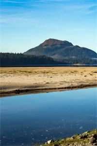 攻略失败那天，他和白月光结婚了免费看