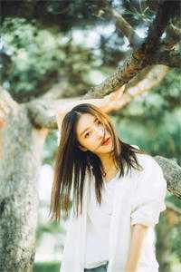 旧风未散的夏天在线看