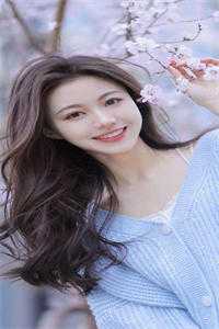 飞雁渡春秋几重小说免费