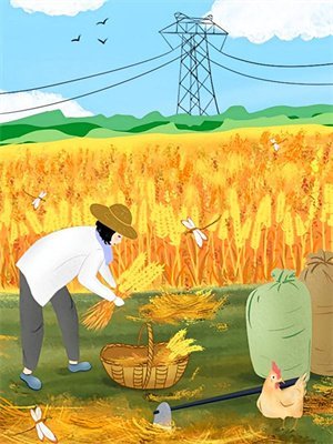 丁克三年，发现了老公的结扎报告全文章节