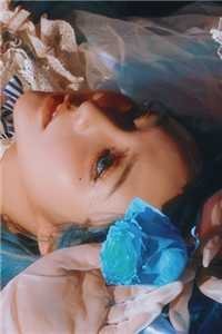 缱绻春风不寄情篇章