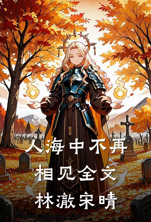 人海中不再相见全文林澈宋晴