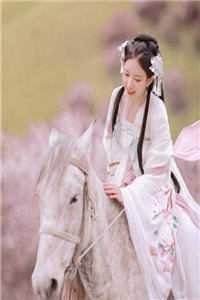 梨花落尽，云散夜未明爆火全网