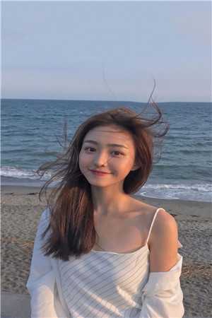 许我一梦渡余生沈晴岚陆禹城完结文