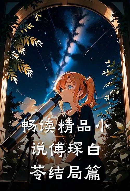 畅读精品小说傅琛白苓结局篇