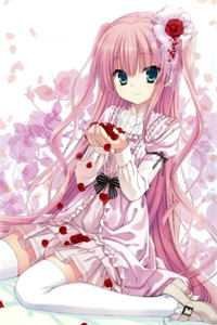 草原的格桑花又开前文+番外