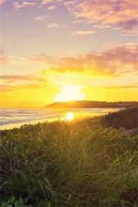 惹上那位爷，我才知道什么叫绝路全章阅读