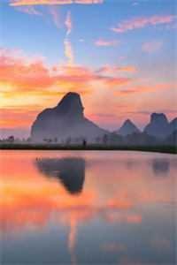 亲手养大的儿子将我推下深山无删版